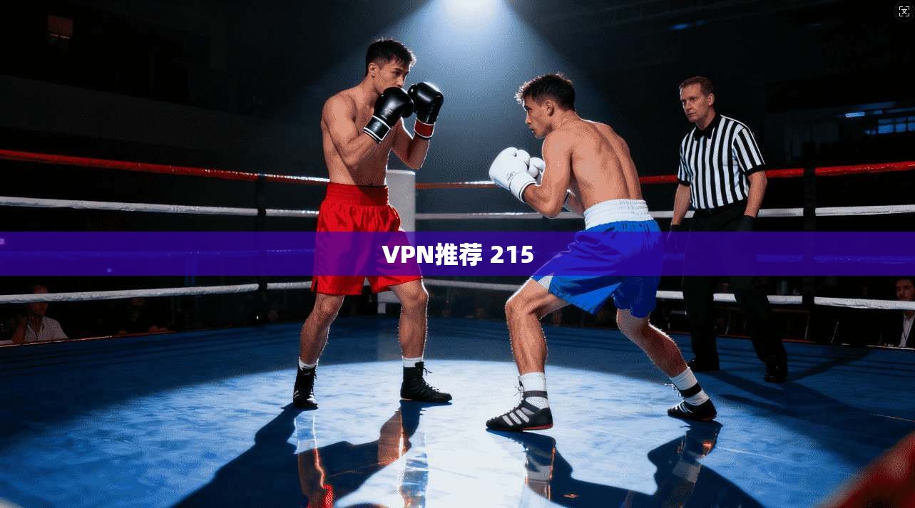 VPN推荐 215