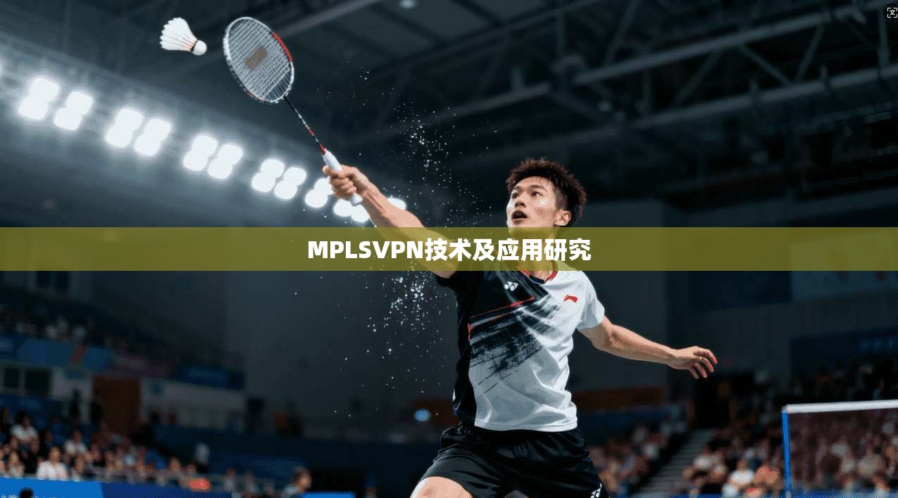 MPLSVPN技术及应用研究