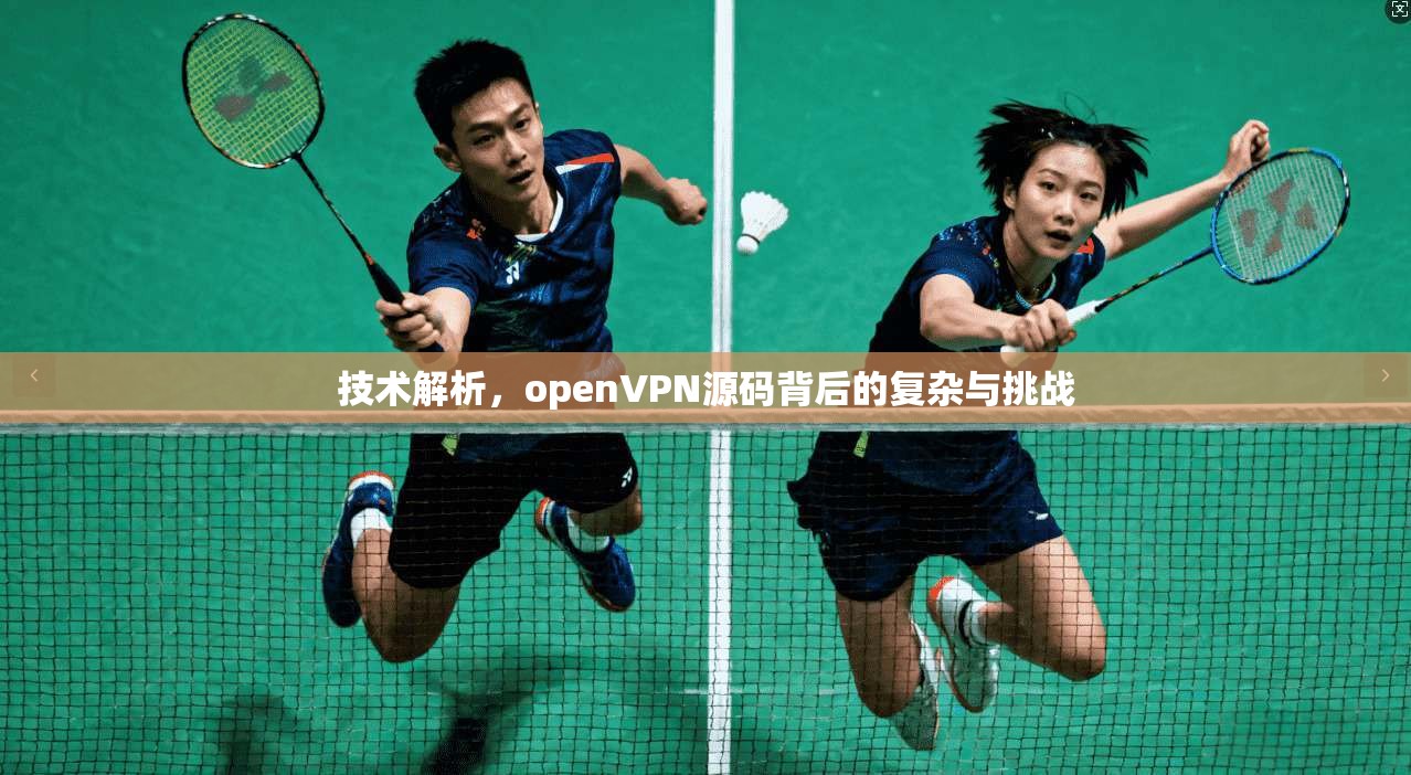 技术解析，openVPN源码背后的复杂与挑战