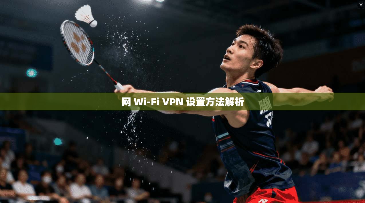网 Wi-Fi VPN 设置方法解析