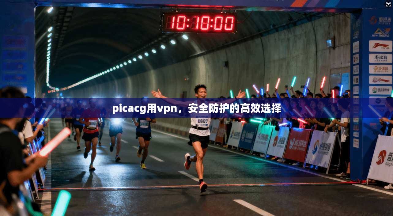 picacg用vpn，安全防护的高效选择