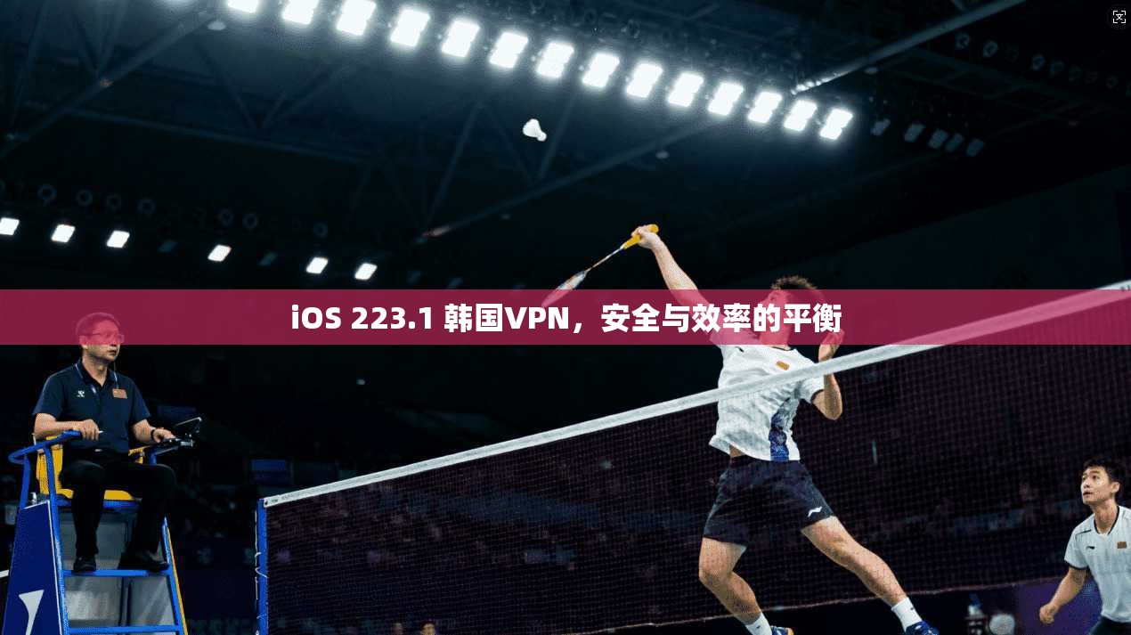 iOS 223.1 韩国VPN，安全与效率的平衡
