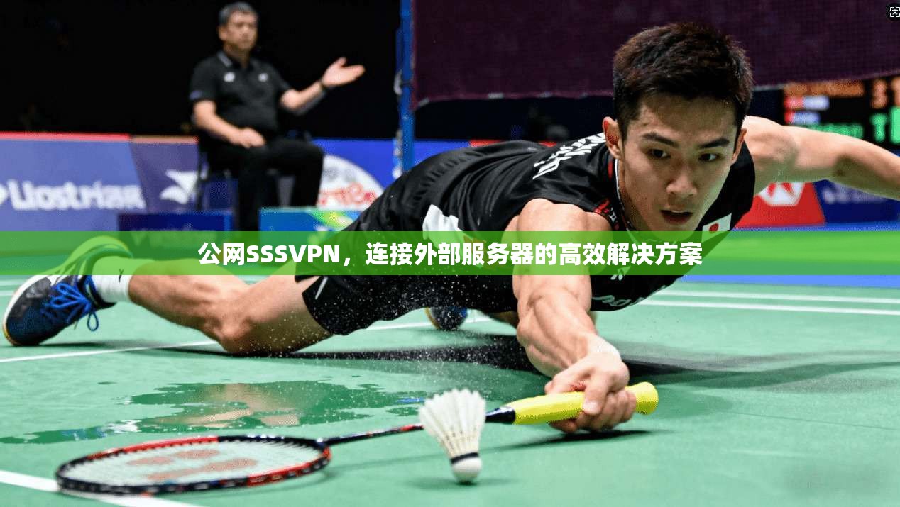 公网SSSVPN，连接外部服务器的高效解决方案