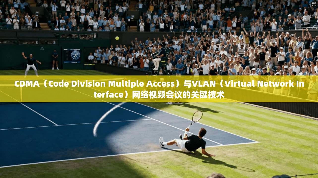 CDMA（Code Division Multiple Access）与VLAN（Virtual Network Interface）网络视频会议的关键技术