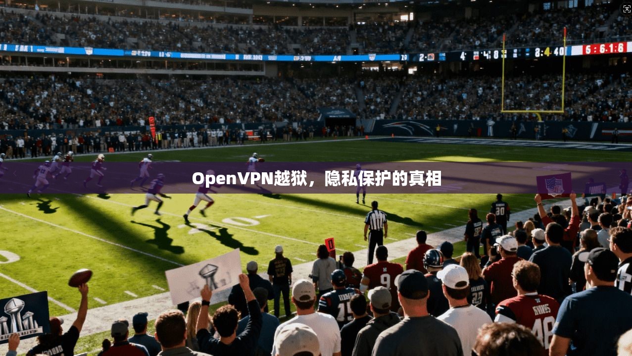 OpenVPN越狱，隐私保护的真相
