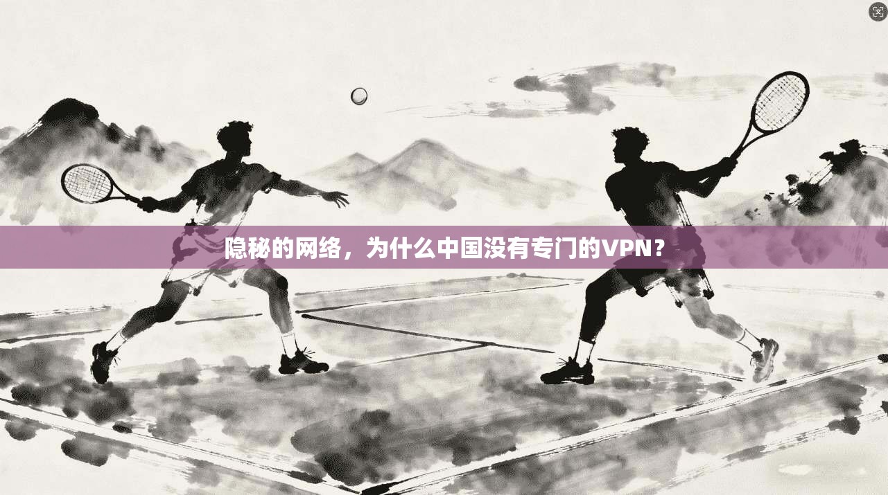 隐秘的网络，为什么中国没有专门的VPN？