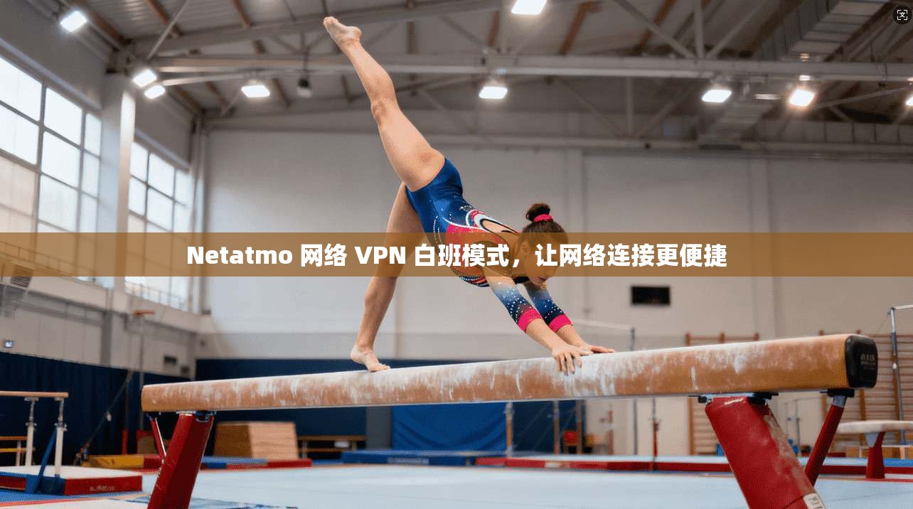 Netatmo 网络 VPN 白班模式，让网络连接更便捷