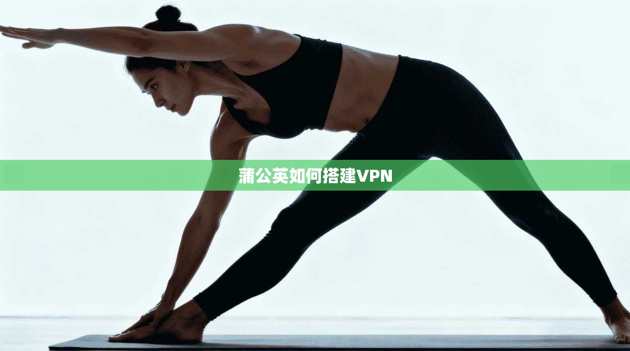 蒲公英如何搭建VPN