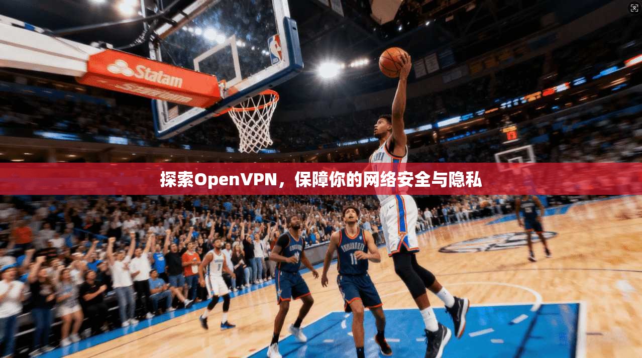 探索OpenVPN，保障你的网络安全与隐私
