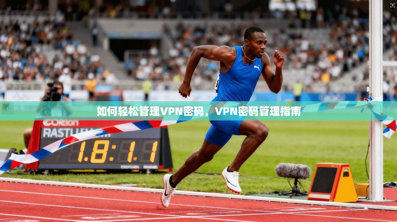 如何轻松管理VPN密码，VPN密码管理指南