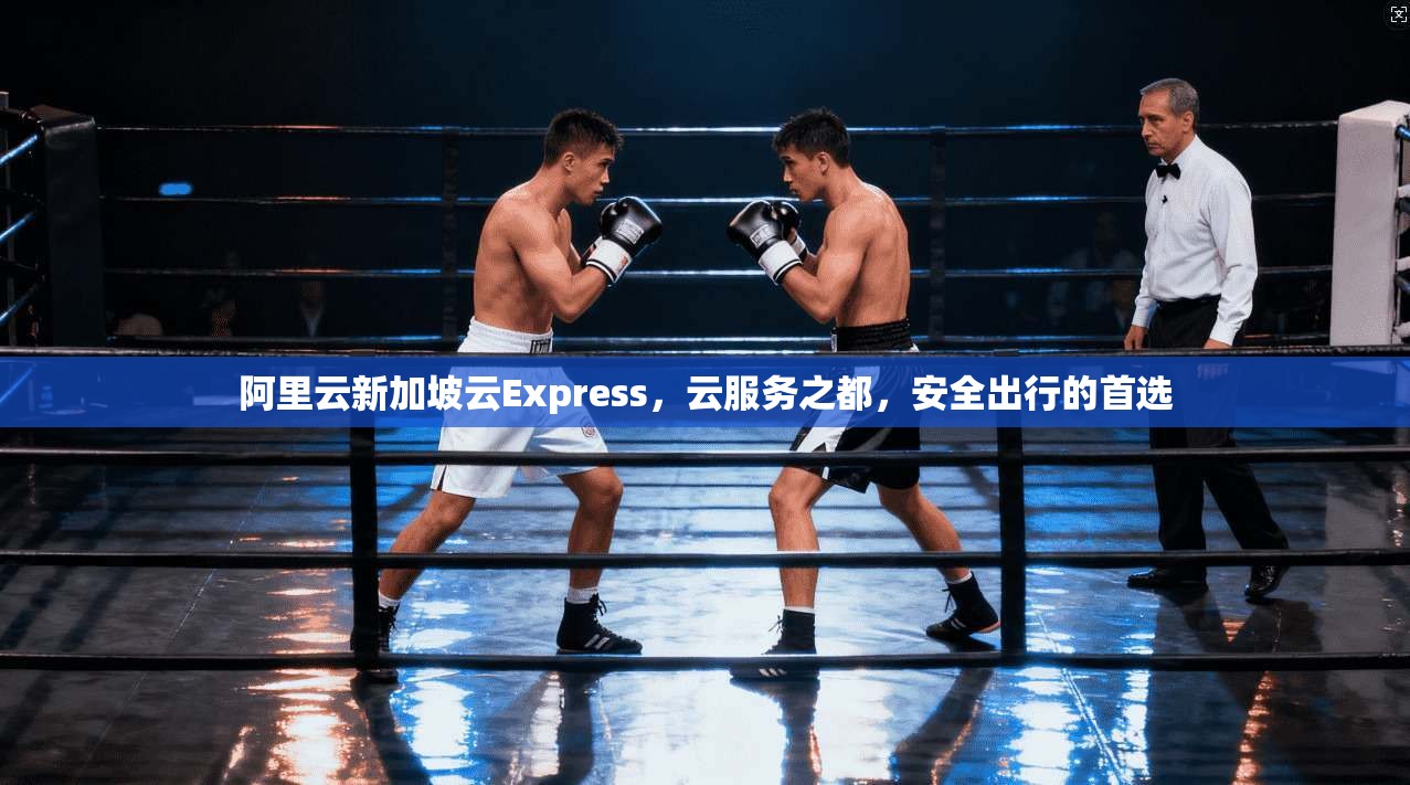 阿里云新加坡云Express，云服务之都，安全出行的首选