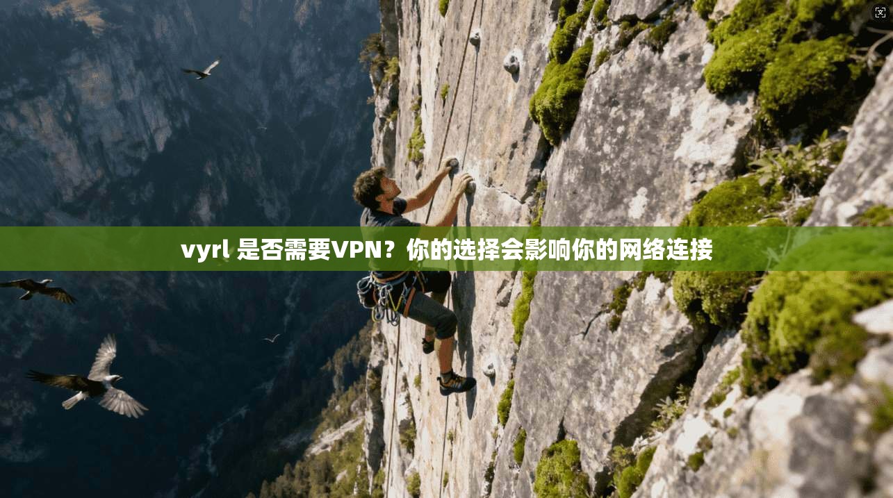 vyrl 是否需要VPN？你的选择会影响你的网络连接