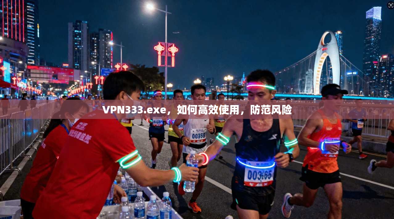 VPN333.exe,如何高效使用,防范风险