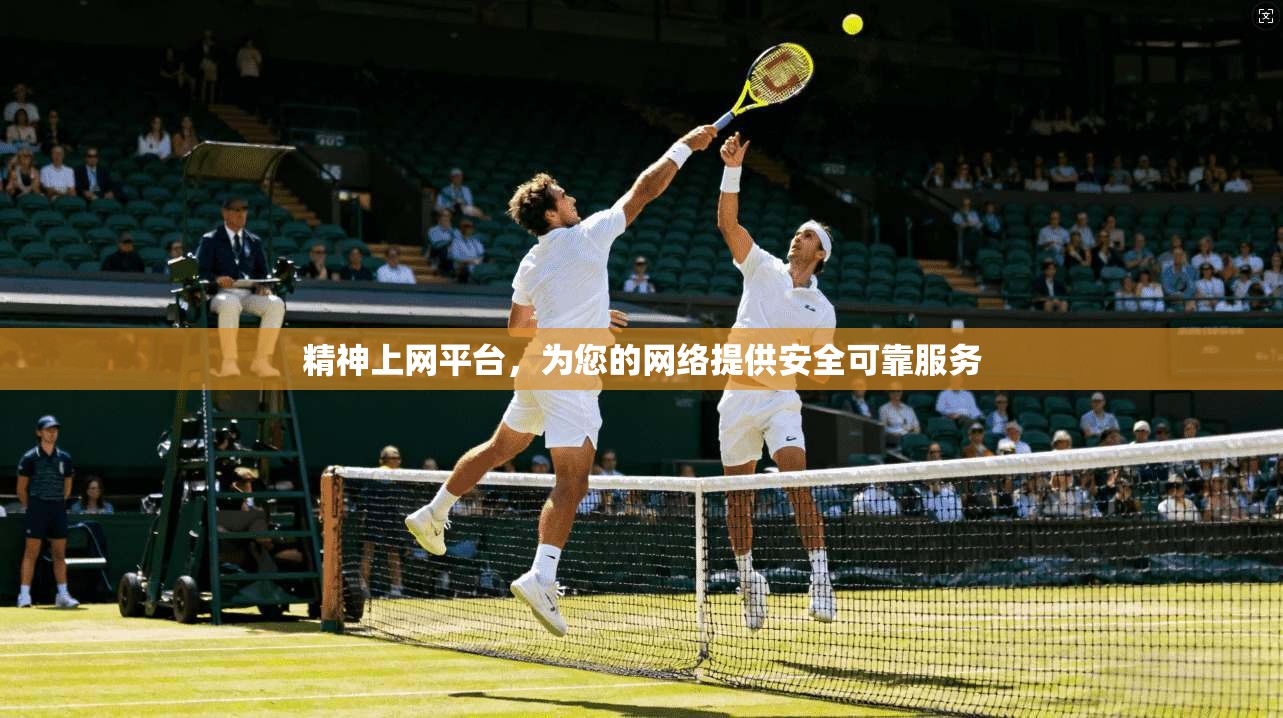 精神上网平台，为您的网络提供安全可靠服务