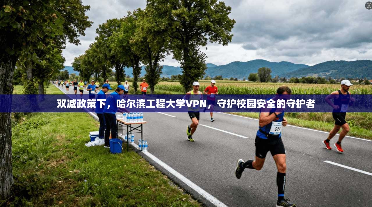 双减政策下，哈尔滨工程大学VPN，守护校园安全的守护者
