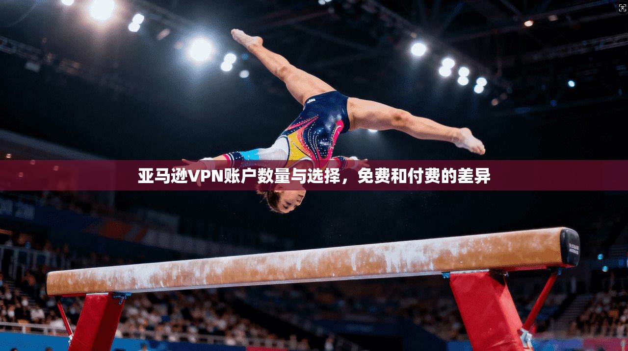 亚马逊VPN账户数量与选择,免费和付费的差异