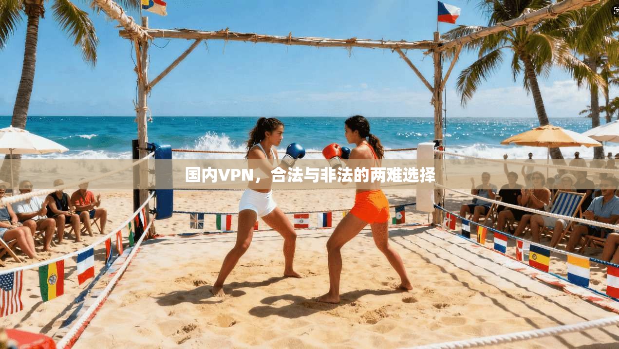 国内VPN,合法与非法的两难选择