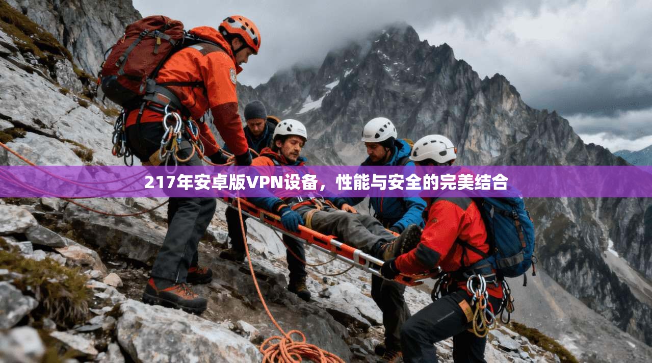 217年安卓版VPN设备，性能与安全的完美结合