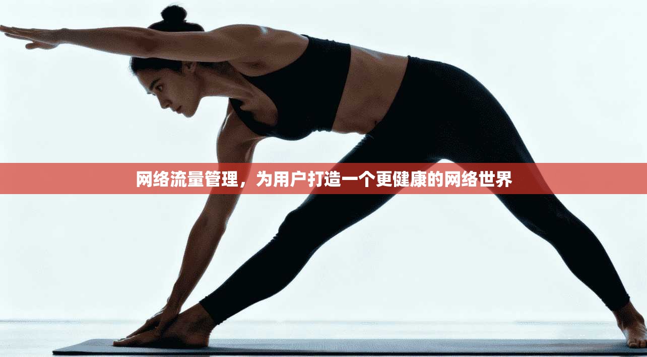 网络流量管理，为用户打造一个更健康的网络世界