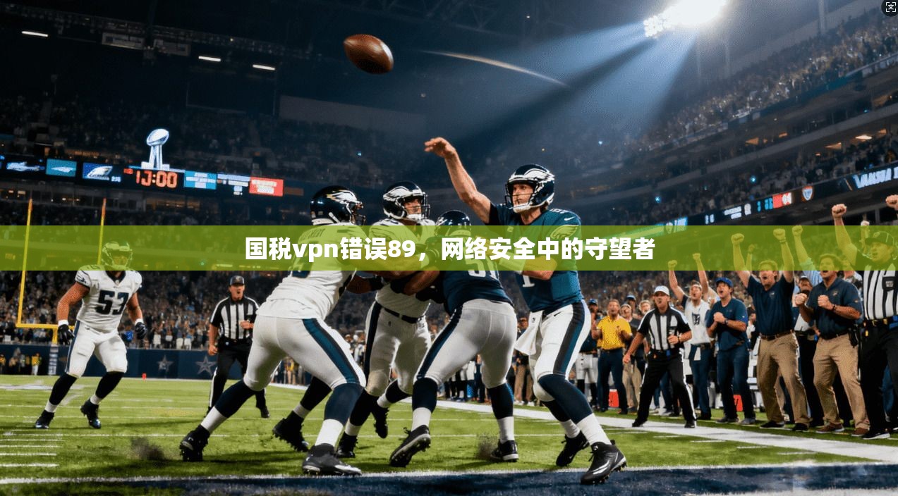 国税vpn错误89，网络安全中的守望者