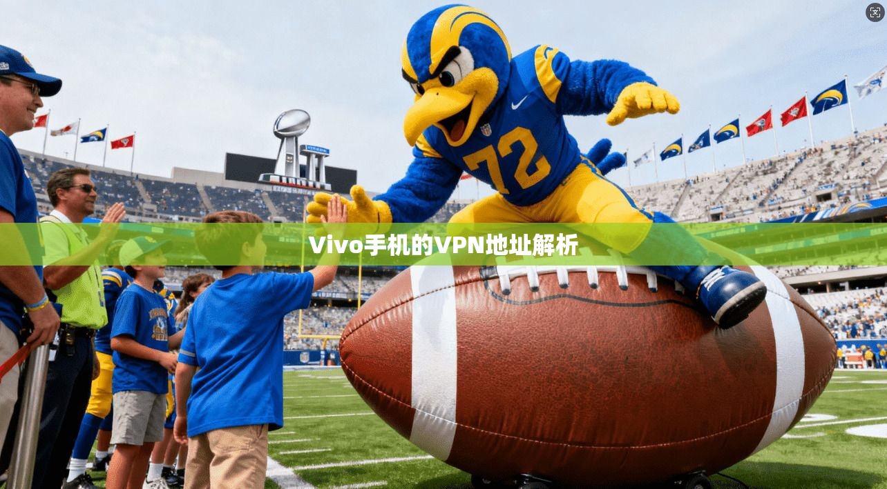 Vivo手机的VPN地址解析
