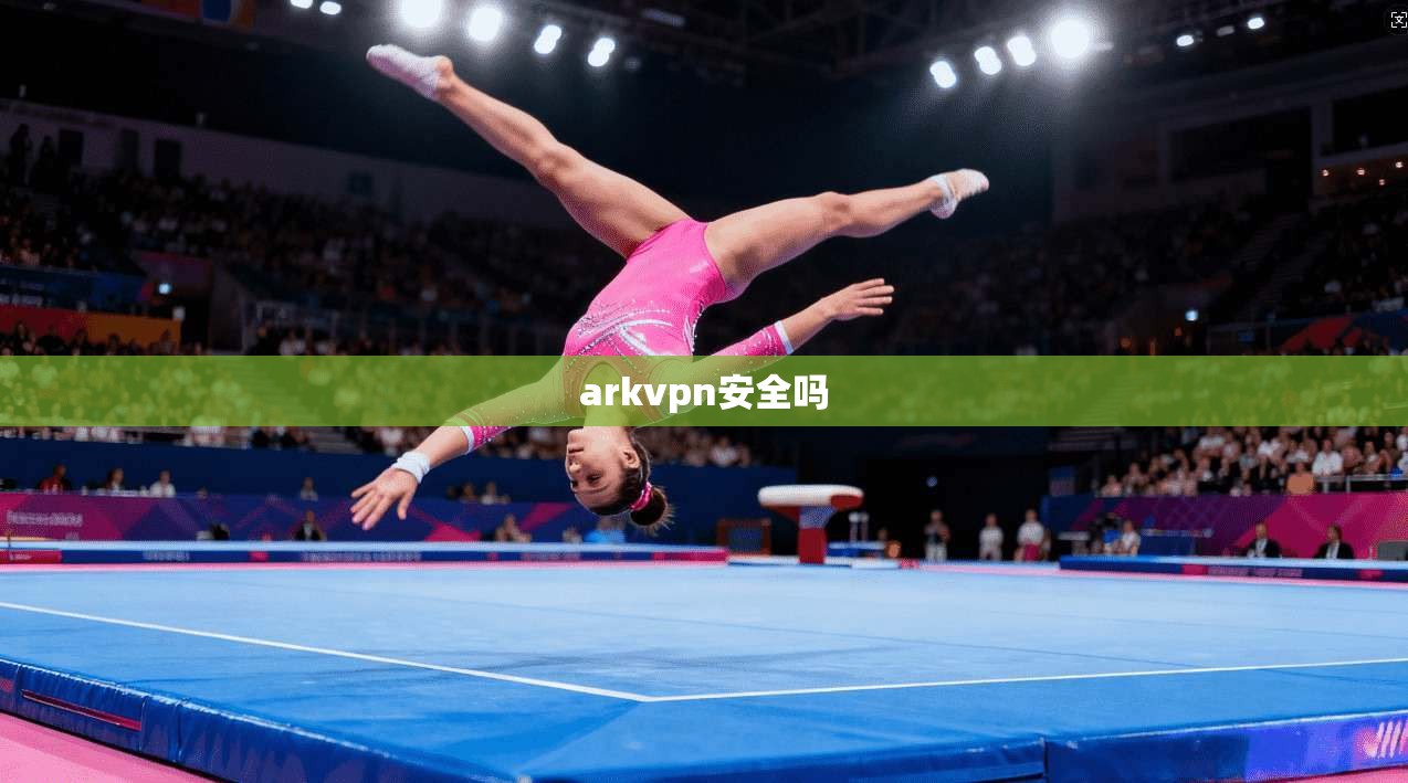 arkvpn安全吗