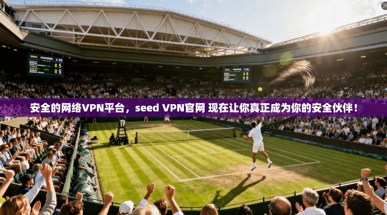 安全的网络VPN平台，seed VPN官网 现在让你真正成为你的安全伙伴！