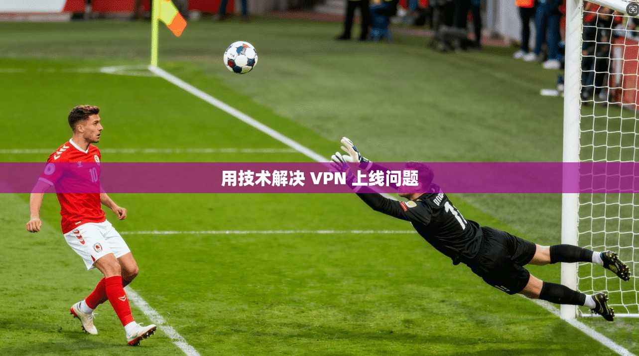 用技术解决 VPN 上线问题