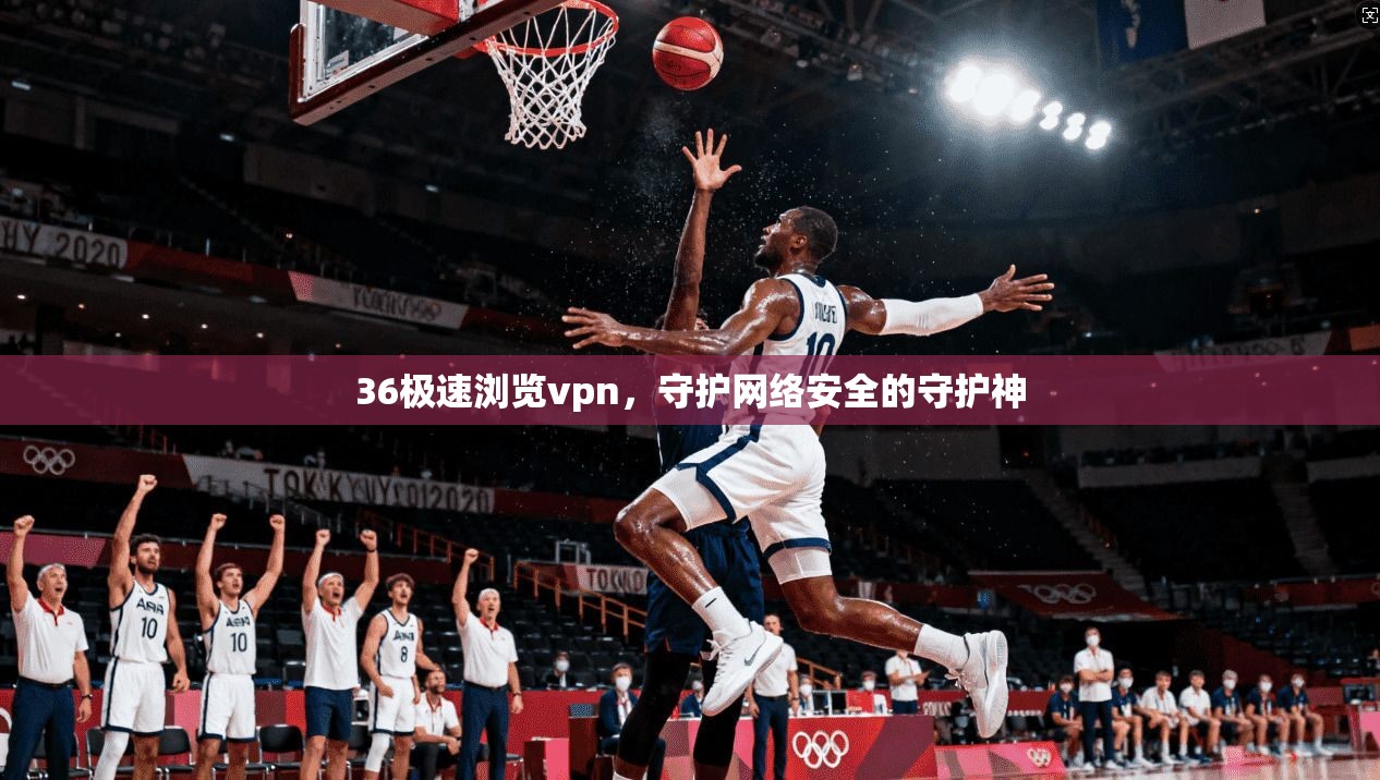 36极速浏览vpn，守护网络安全的守护神