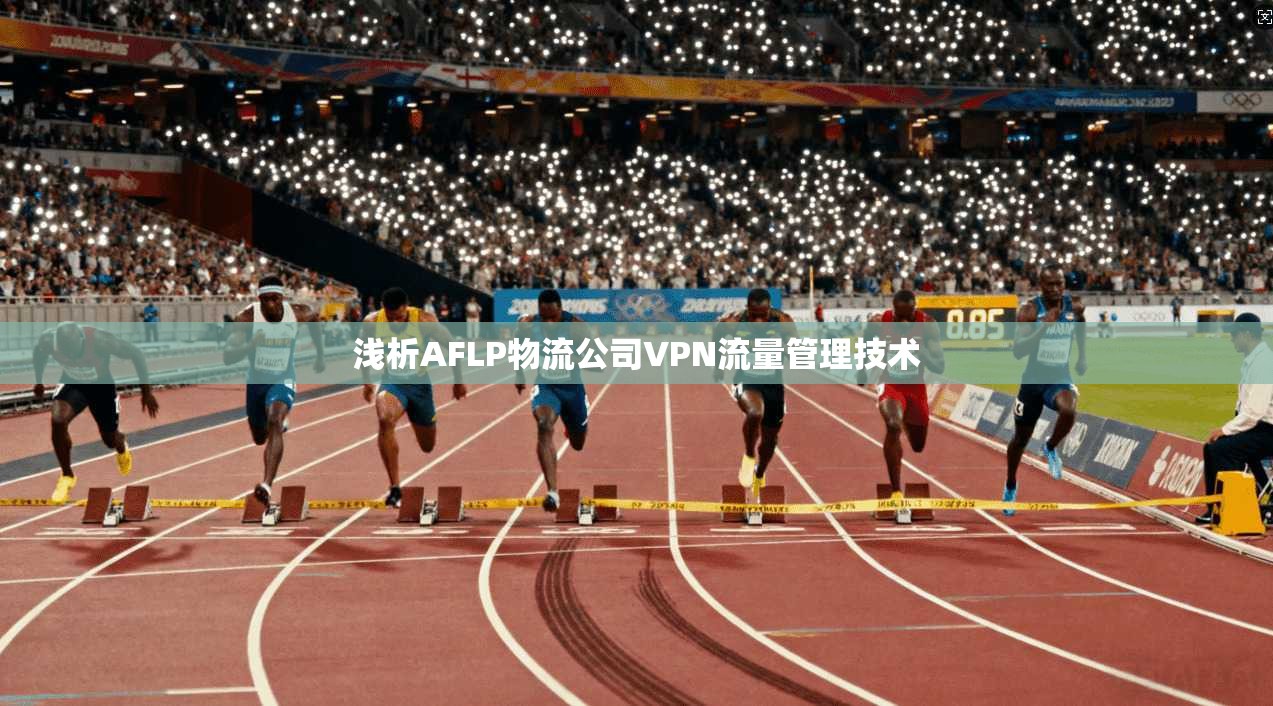 浅析AFLP物流公司VPN流量管理技术