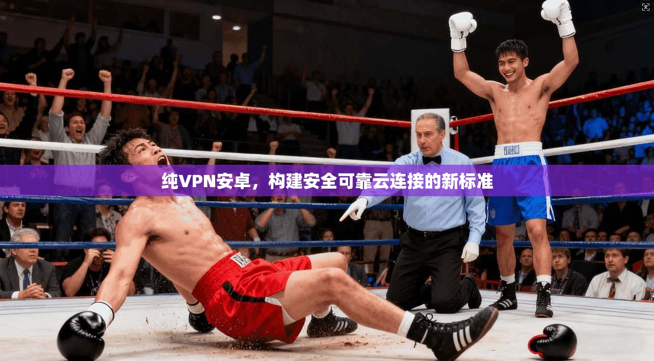 纯VPN安卓，构建安全可靠云连接的新标准
