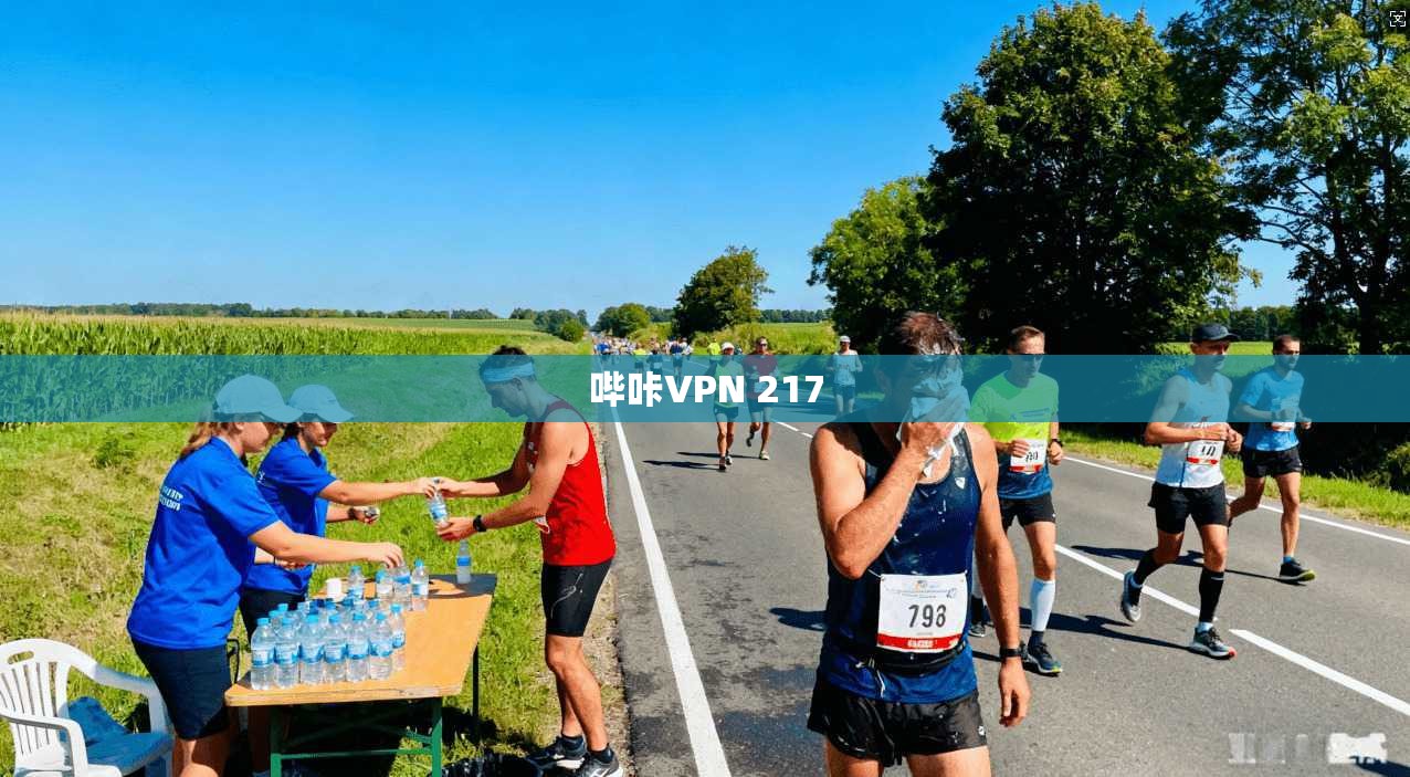 哔咔VPN 217