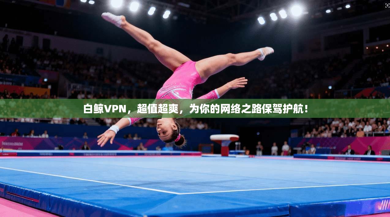 白鲸VPN，超值超爽，为你的网络之路保驾护航！