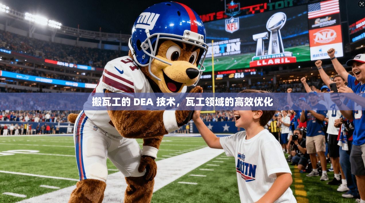 搬瓦工的 DEA 技术，瓦工领域的高效优化