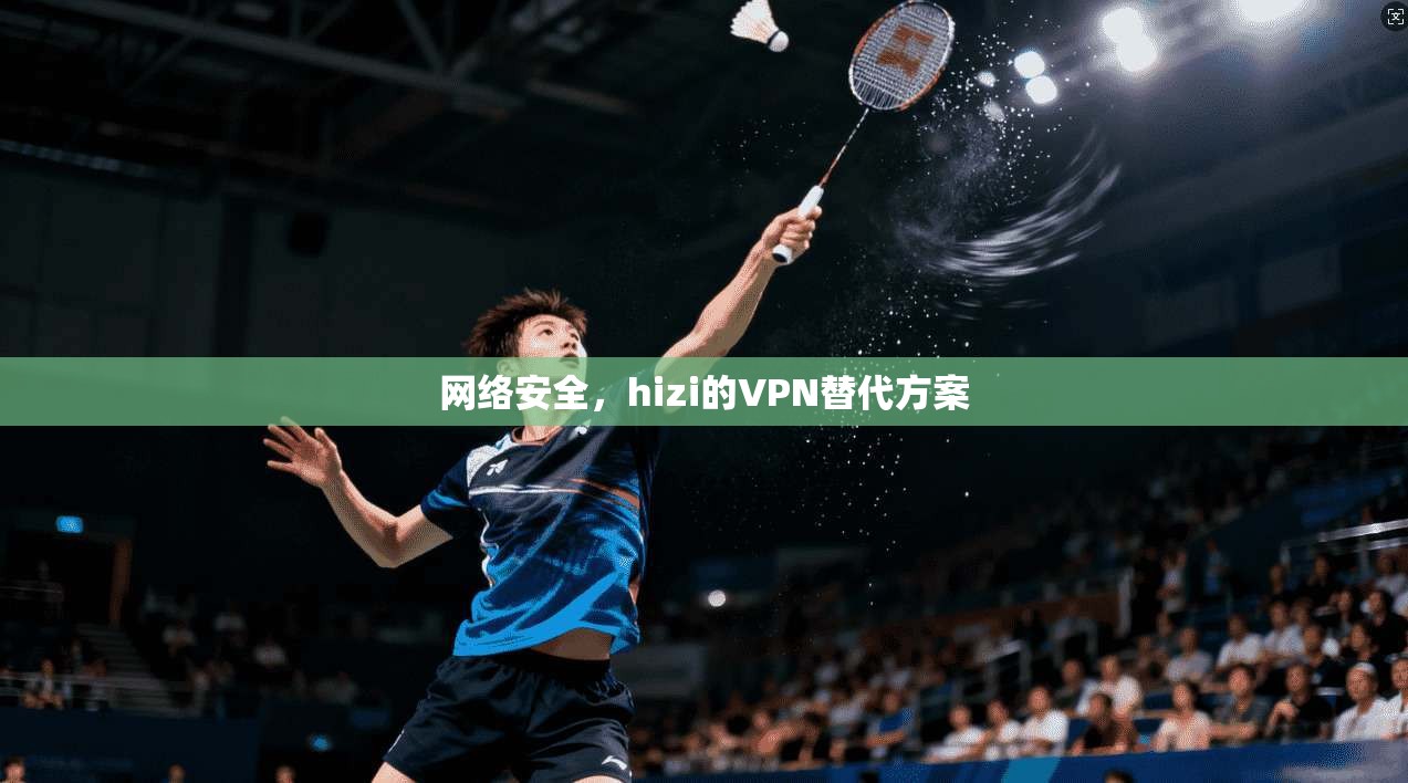 网络安全，hizi的VPN替代方案