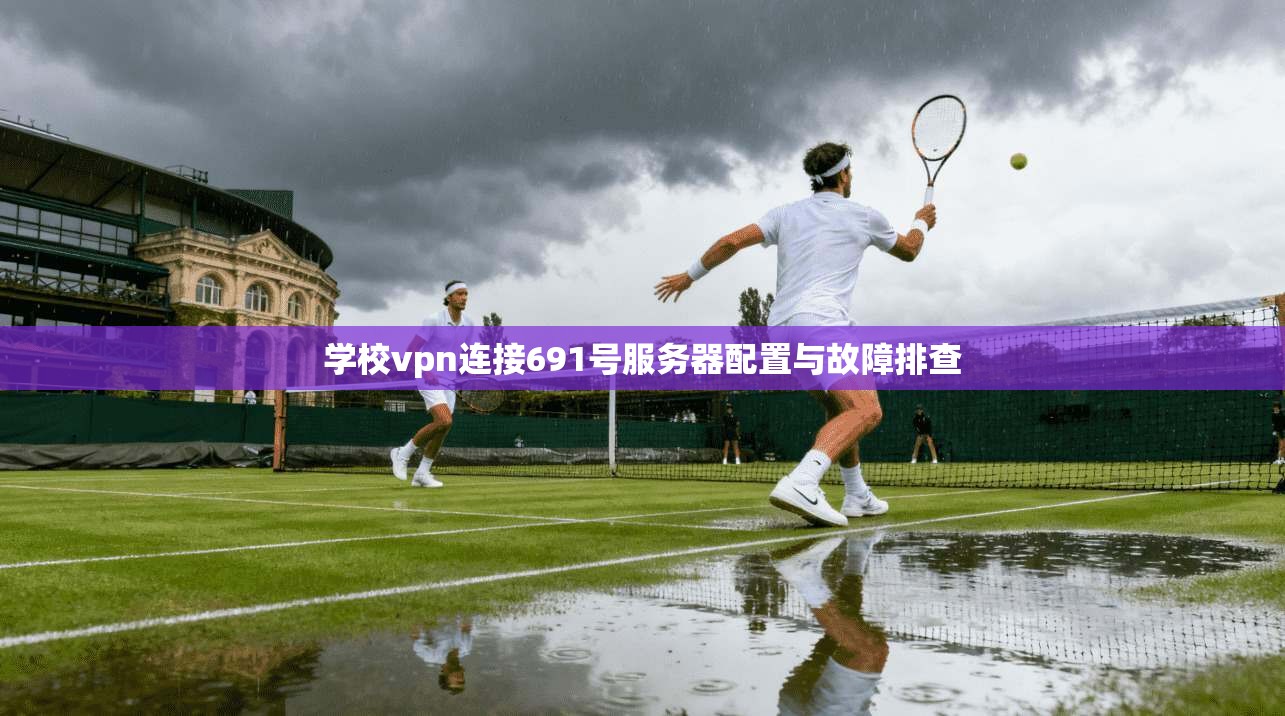 学校vpn连接691号服务器配置与故障排查