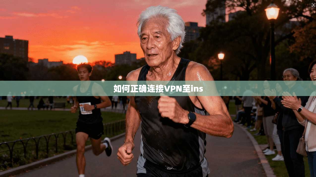 如何正确连接VPN至ins