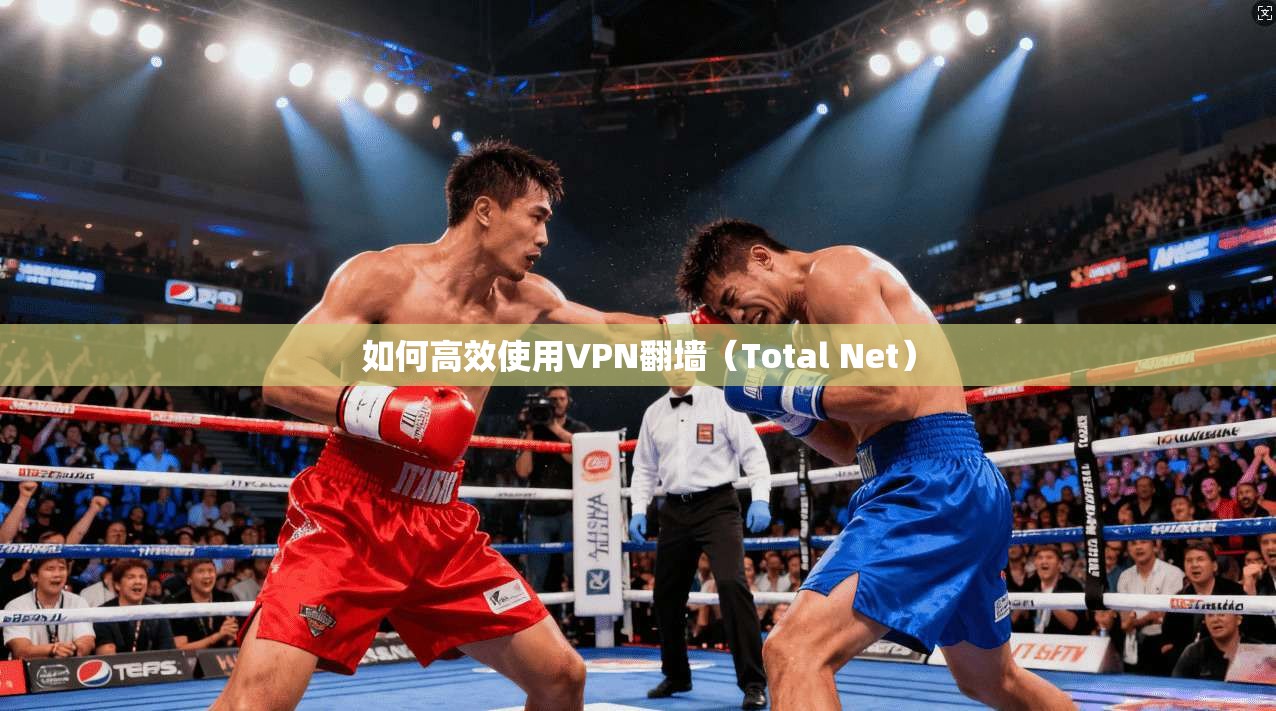 如何高效使用VPN翻墙(Total Net)