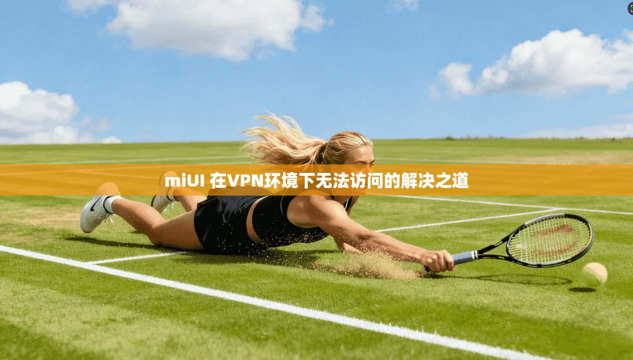 miUI 在VPN环境下无法访问的解决之道