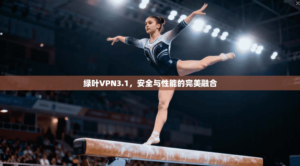 绿叶VPN3.1,安全与性能的完美融合