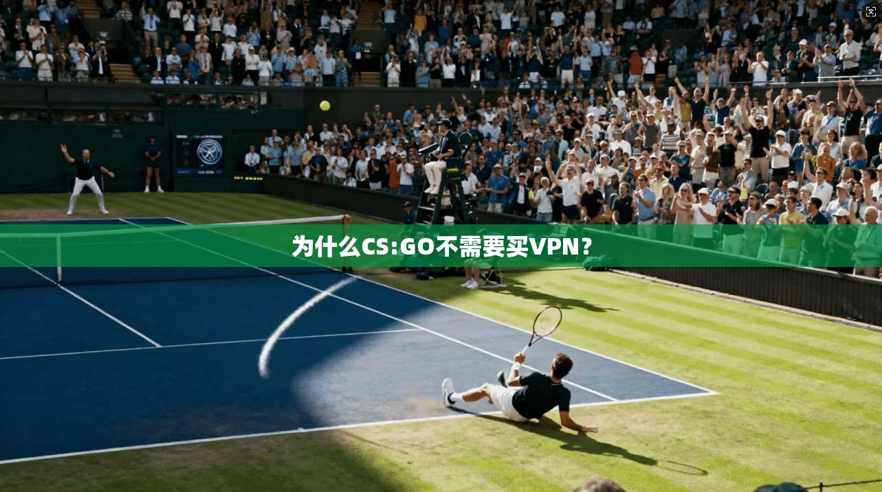 为什么CS:GO不需要买VPN？
