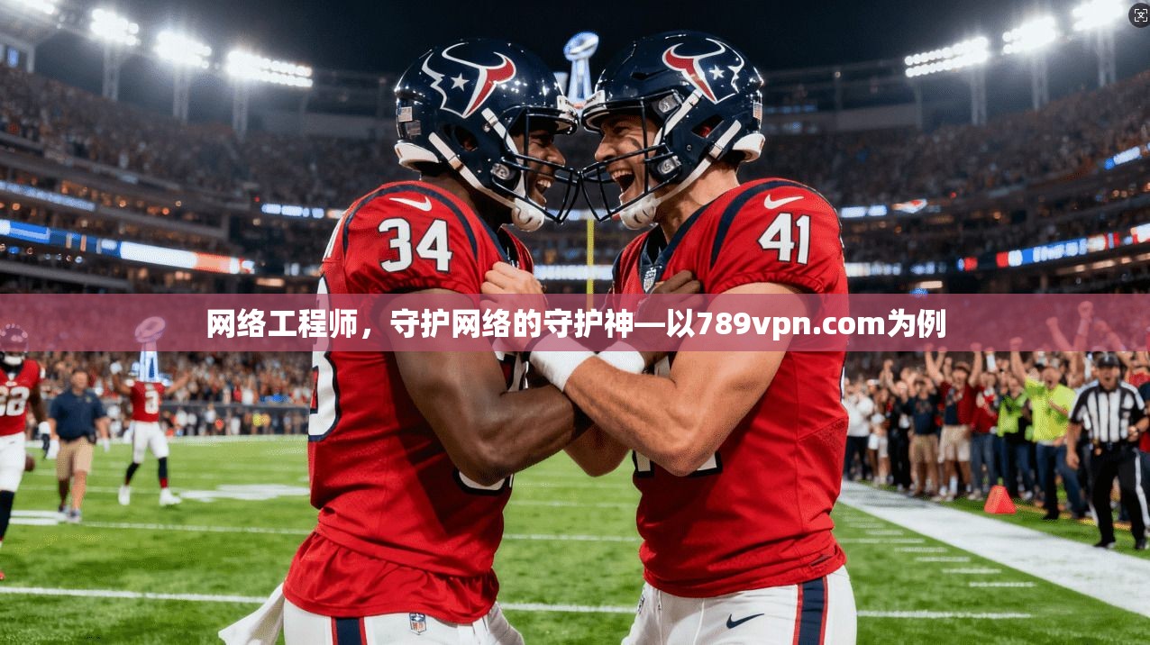 网络工程师,守护网络的守护神—以789vpn.com为例