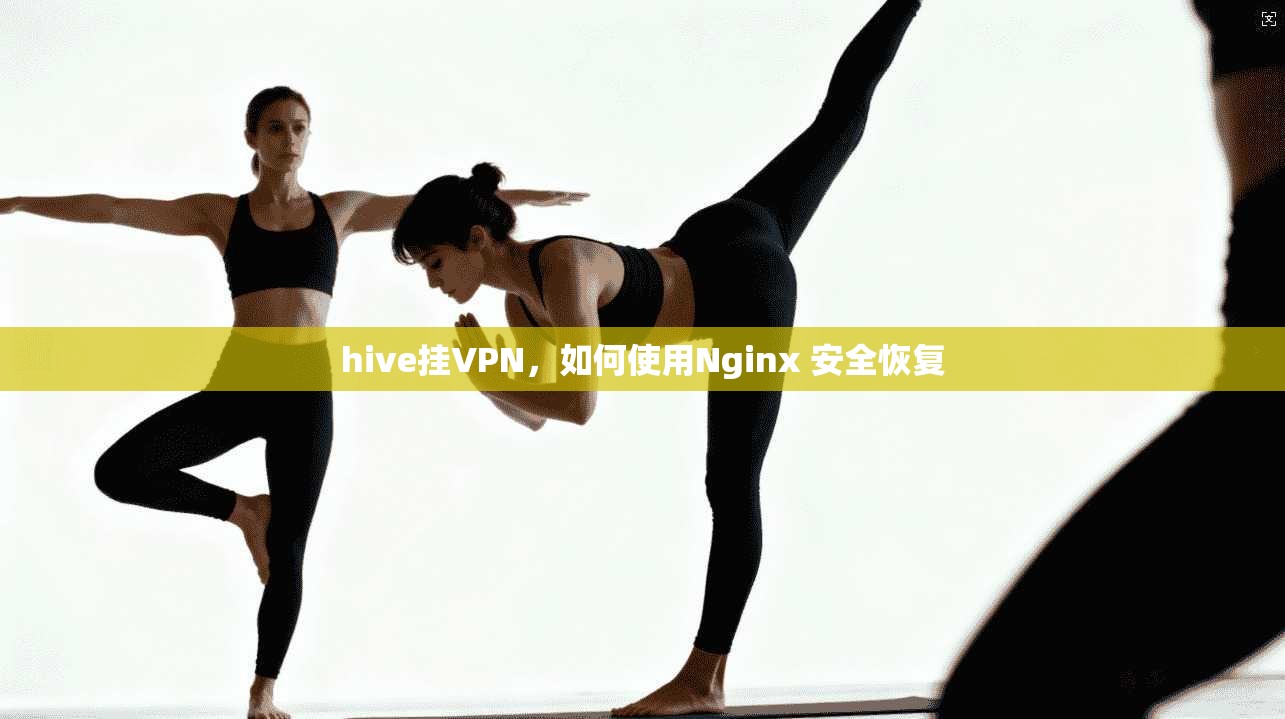 hive挂VPN,如何使用Nginx 安全恢复