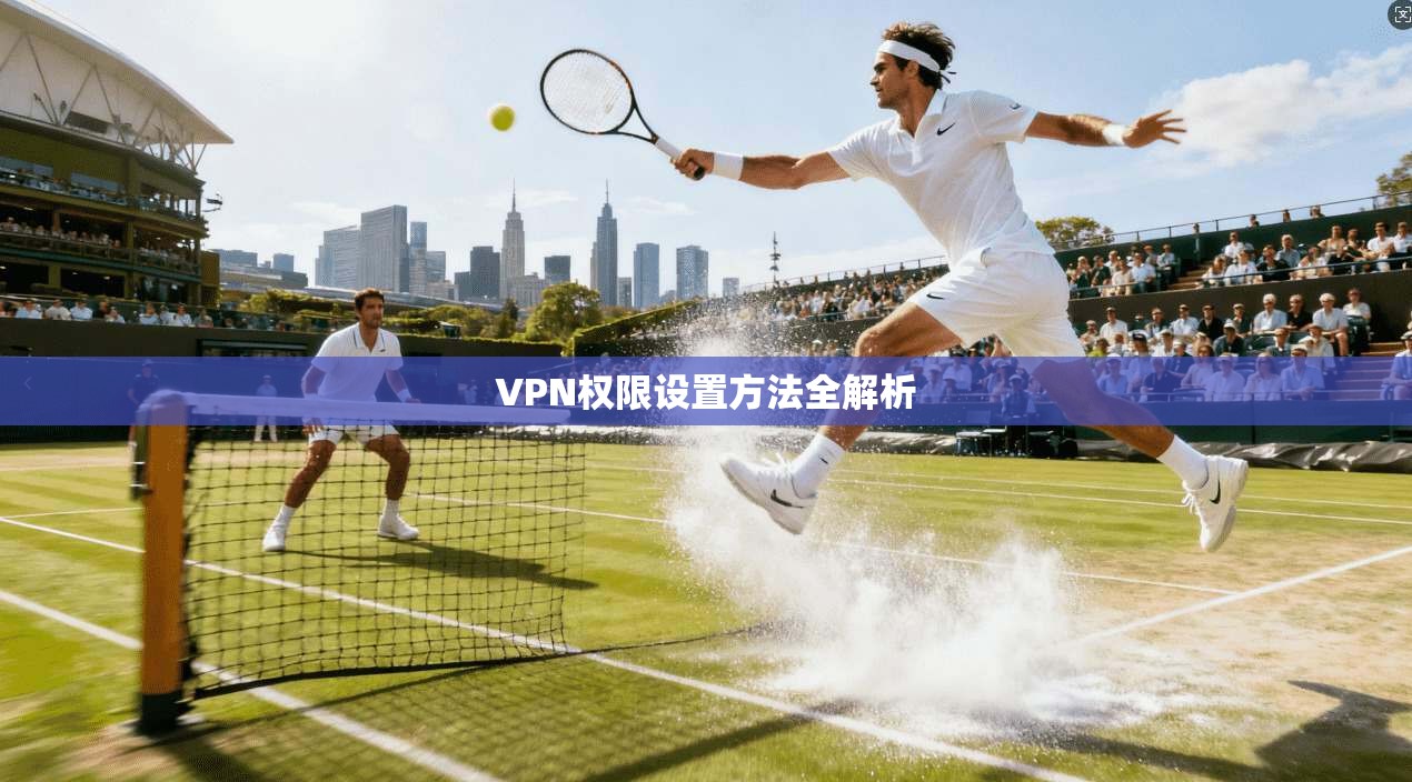 VPN权限设置方法全解析