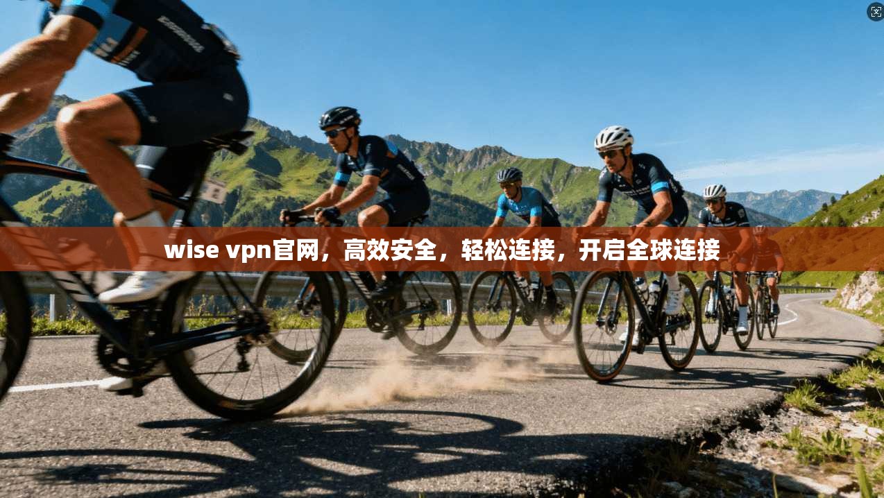 wise vpn官网，高效安全，轻松连接，开启全球连接