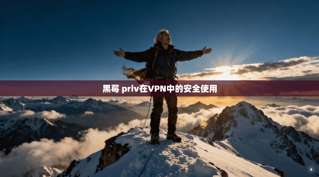 黑莓 priv在VPN中的安全使用