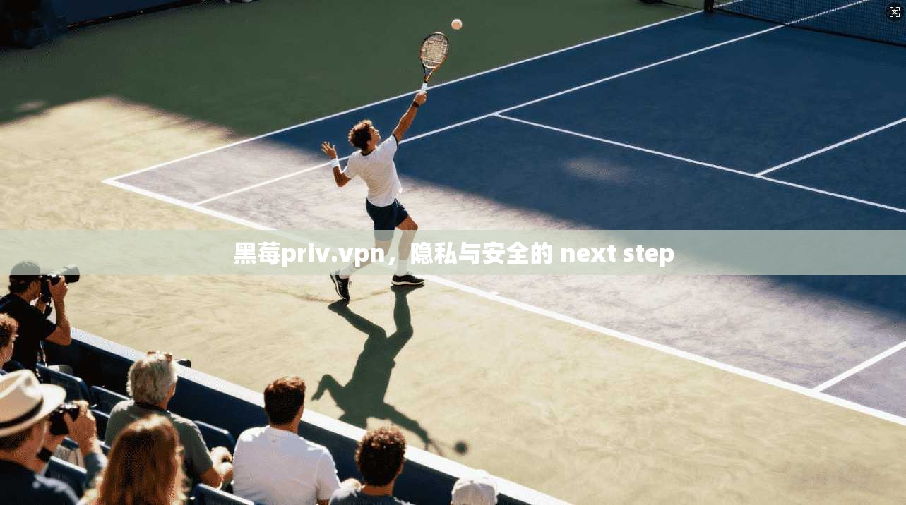黑莓priv.vpn,隐私与安全的 next step