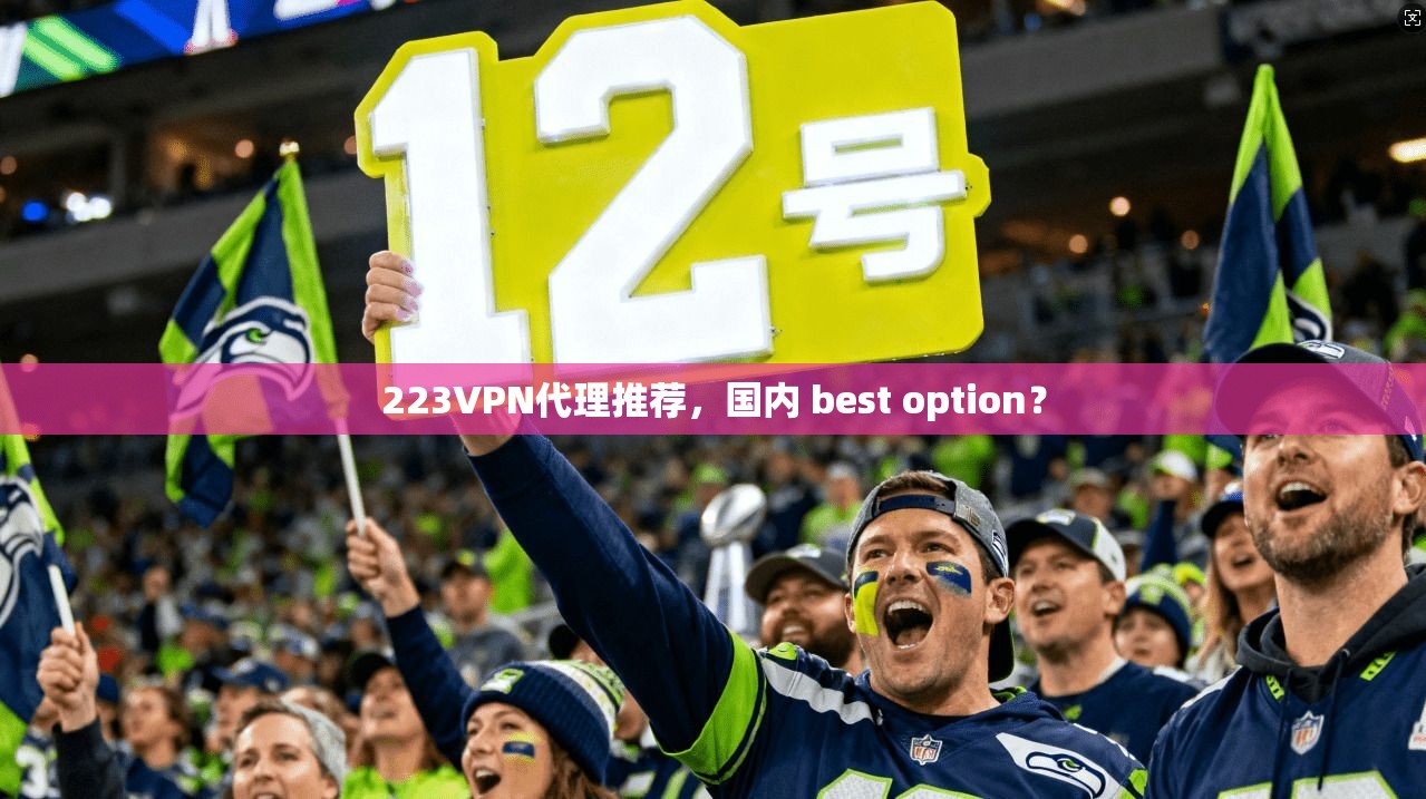 223VPN代理推荐，国内 best option？