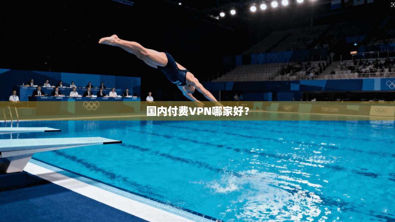 国内付费VPN哪家好?