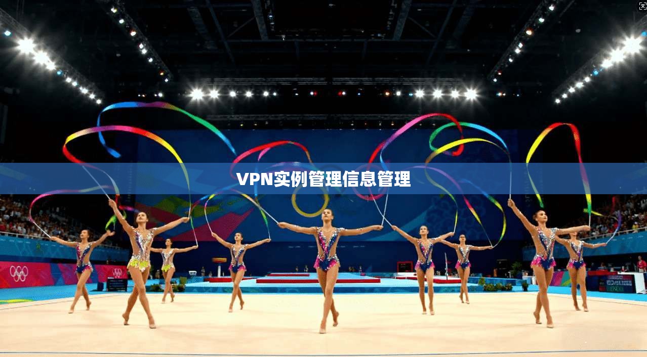 VPN实例管理信息管理